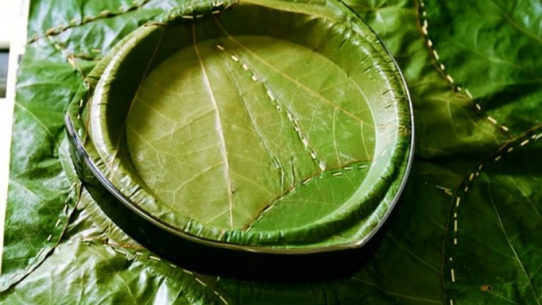 Phát minh ra bát làm từ lá cây, thay thế cho hộp đựng thức ăn bằng xốp độc hại