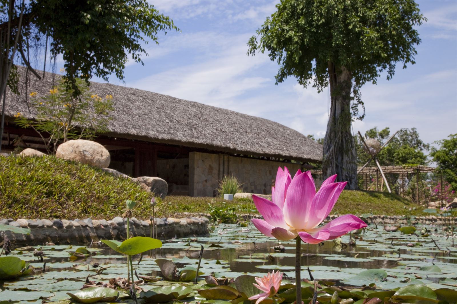 Khu nghĩ dưỡng suối khoáng i Resort / a21studio
