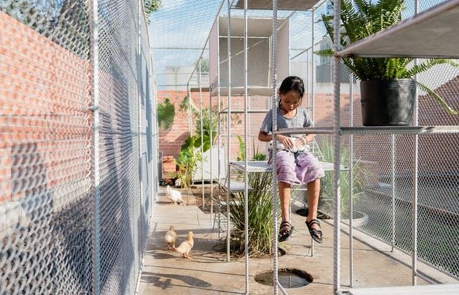 CHICKEN HOUSE - Khi chuồng gà được thiết kế bởi Kiến trúc sư