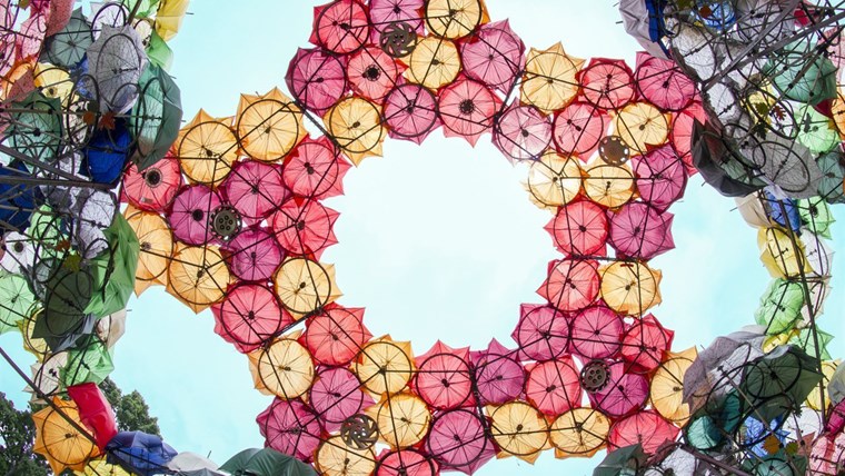 Organic Growth Pavilion | Izaskun Chinchilla Architects