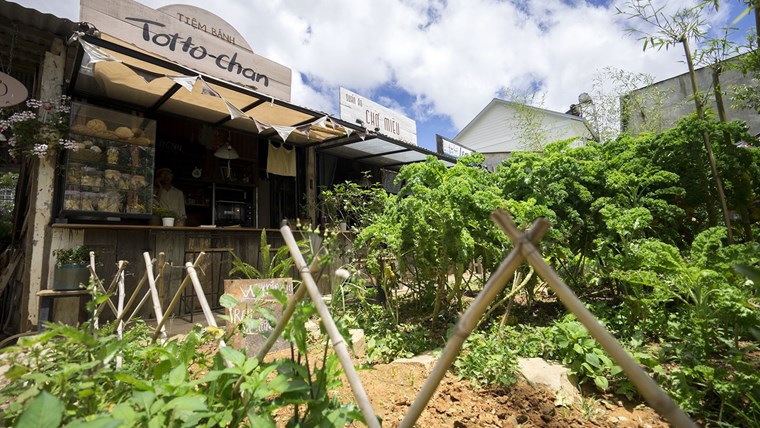 Still Cafe - khu vườn quê nhỏ giữa Đà Lạt