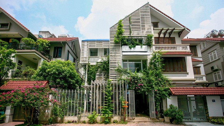 Growing Office – Văn phòng như cây xanh