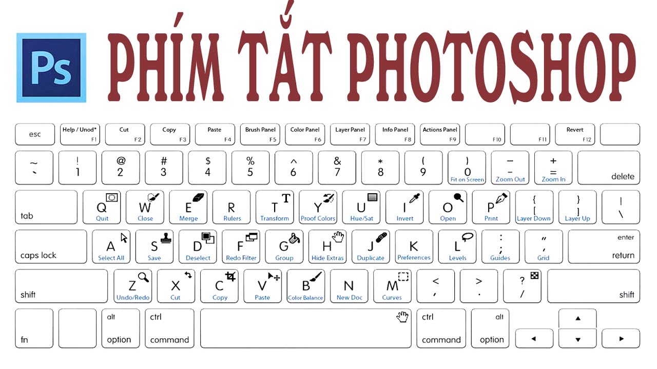Tổng hợp các phím tắt giúp thao tác nhanh trong Photoshop
