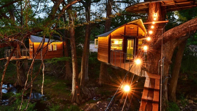 10 ngôi nhà trên cây “siêu đẹp” trên thế giới