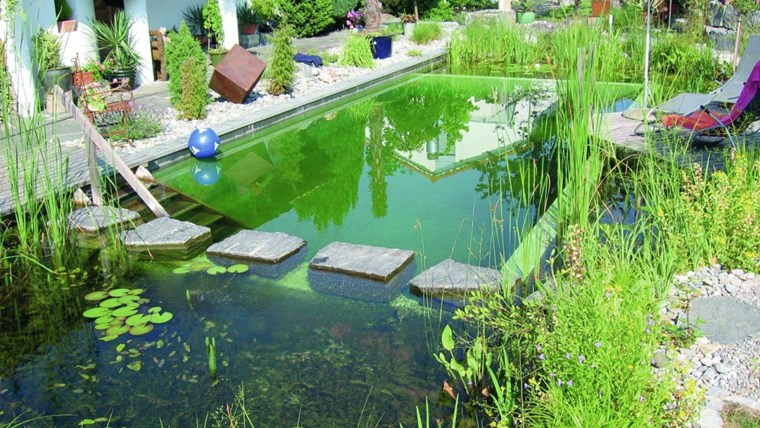 Natural Swimming pool- Thực vật trong hệ sinh thái