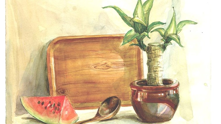 Tổng hợp các Nội dung và Bài mẫu cho môn HỘI HỌA 1