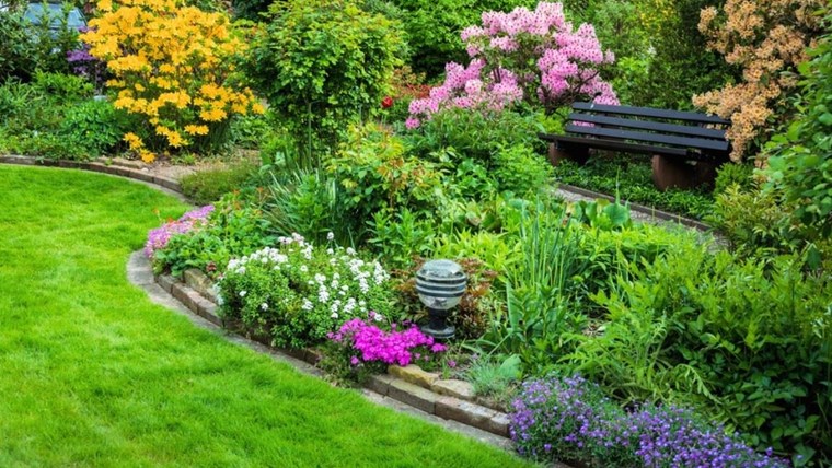 Tổng hợp các loài cây bụi phù hợp với mọi loại hình cảnh quan ( Phần 1)