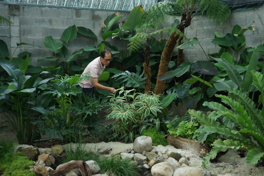 Vườn nhiệt đới nhiều tầng tại dự án Tripitaka do Silver Cloud thiết kế