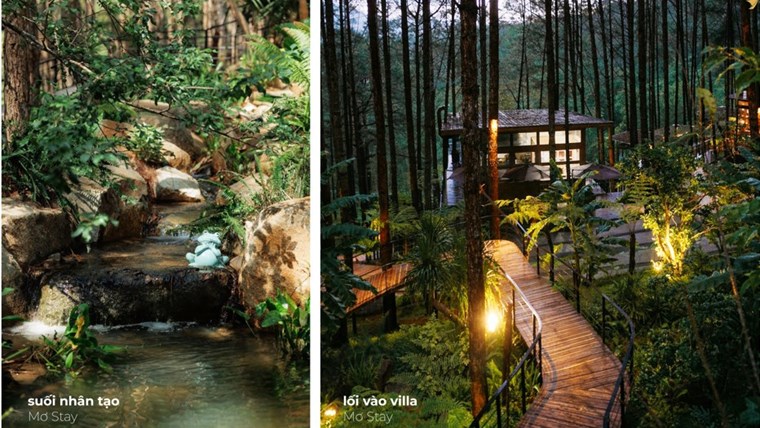 SGL Vietnam — văn phòng cảnh quan của vườn Nhật và resort giữa rừng thông