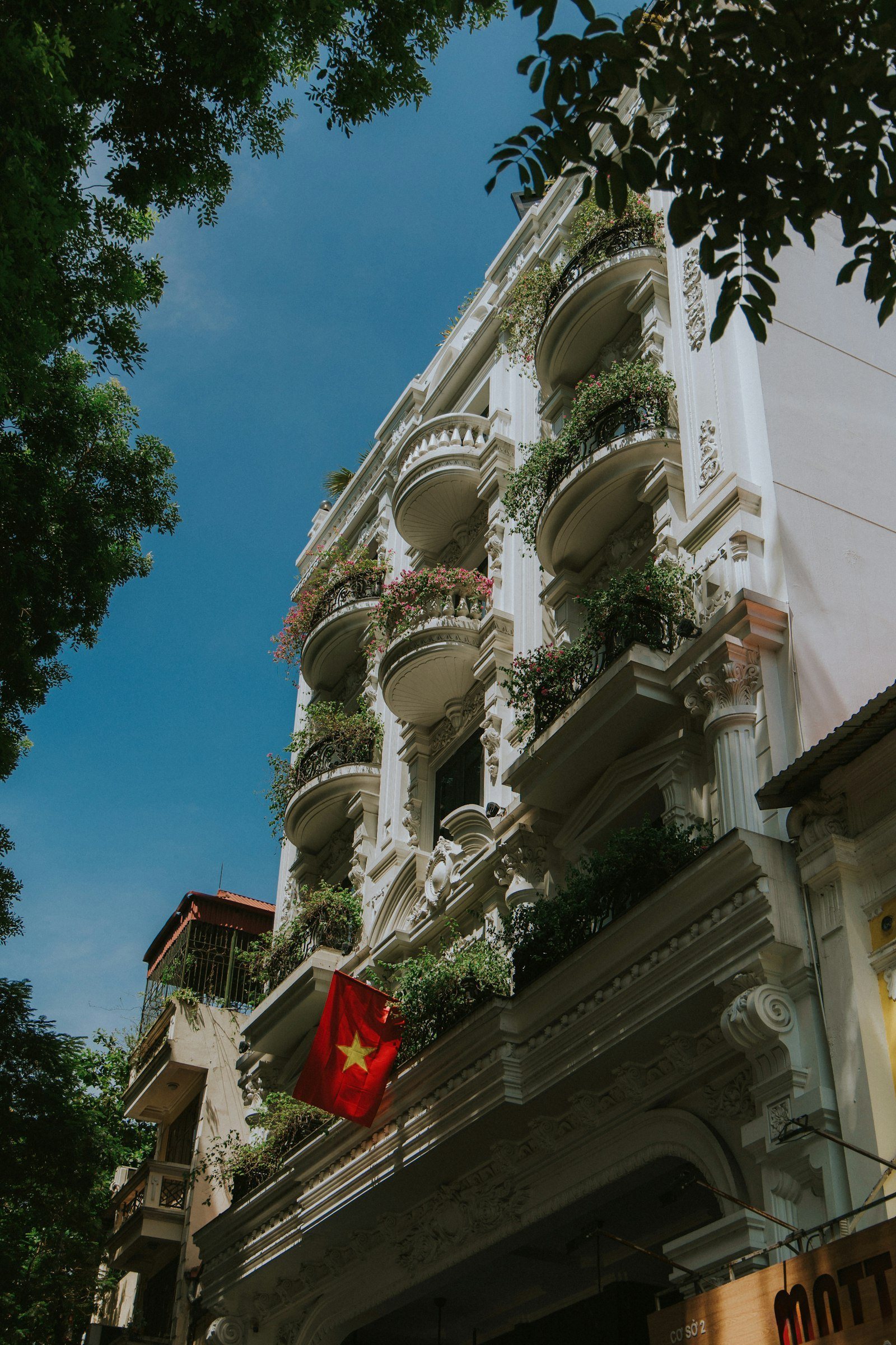 Ban công chung cư cũ với cây trồng chậu và cờ treo