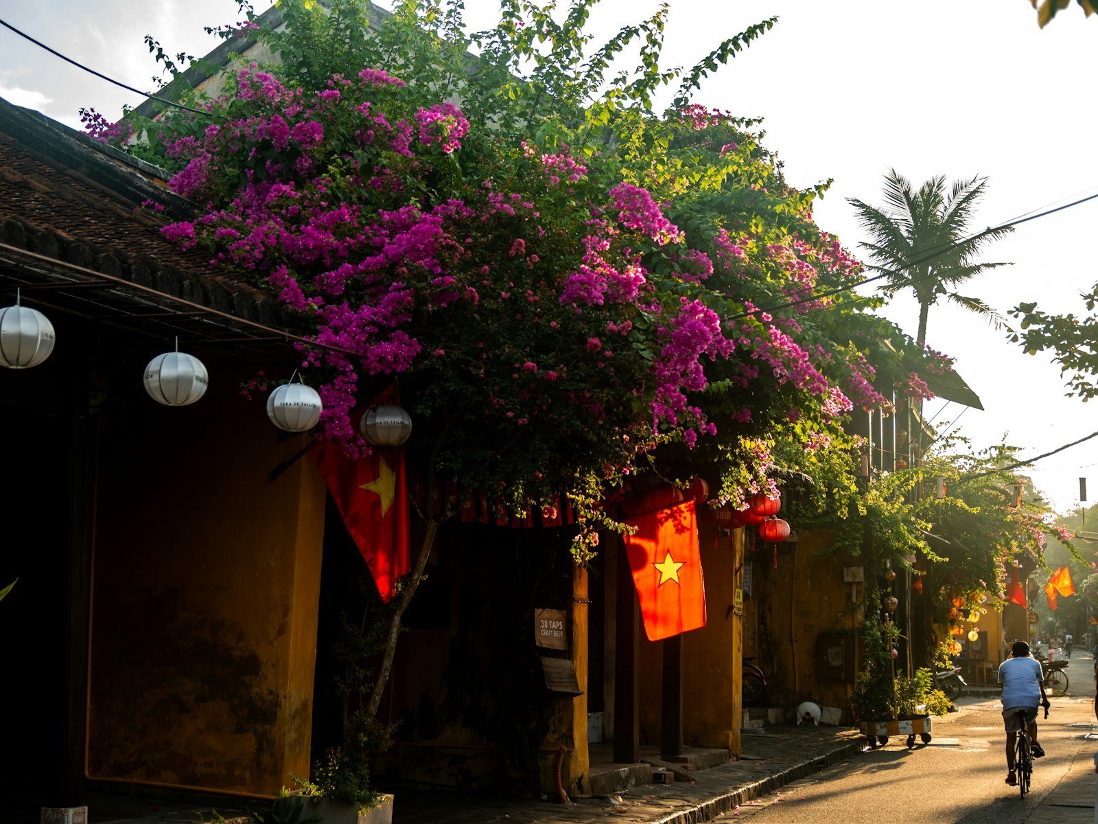 Giàn hoa giấy phủ mái hiên một ngôi nhà trong phố