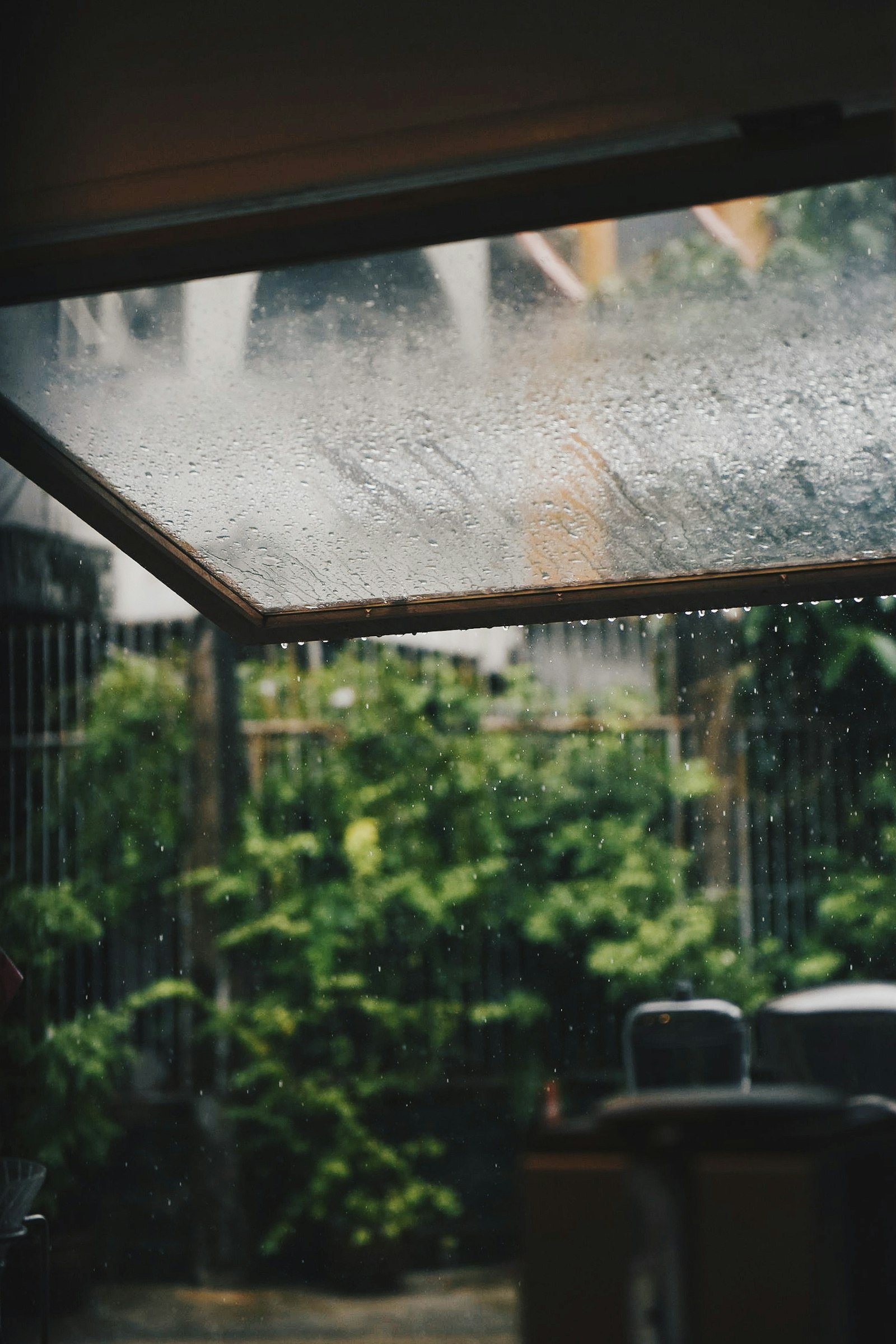 Hệ phun sương chạy trên giàn cây