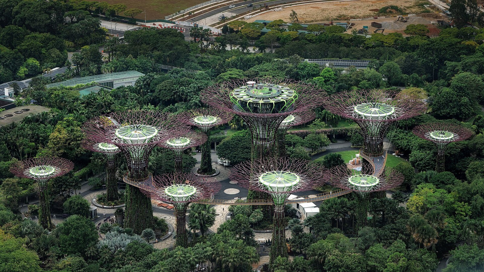 Cụm Supertree Grove nhìn từ trên cao giữa tán rừng Gardens by the Bay Singapore, cầu đi bộ trên cao nối các thân cây thép