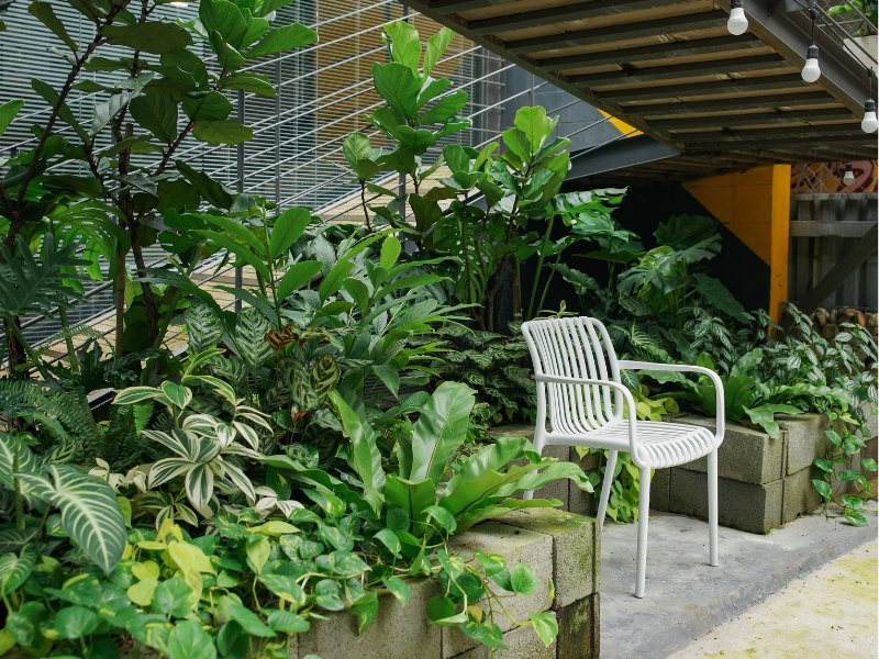Góc ngồi ngoài văn phòng GUT Label: bồn gạch block trồng tổ điểu, trầu bà và calathea quanh ghế trắng dưới sàn thép
