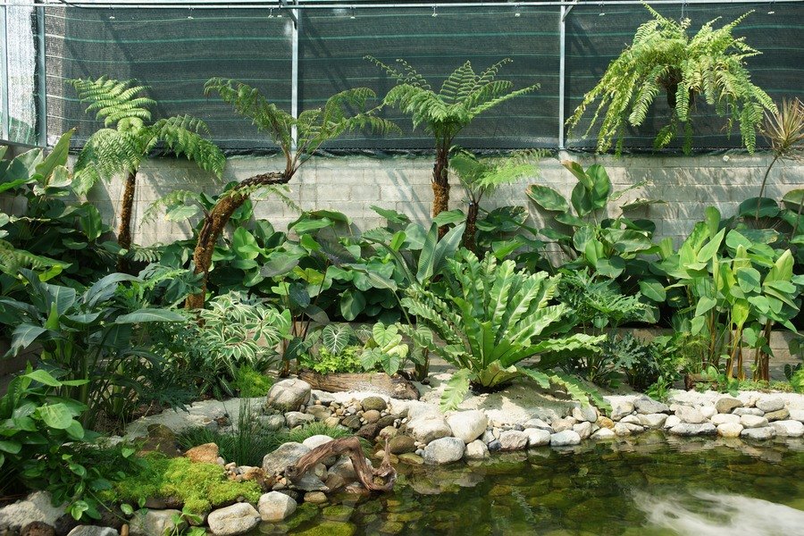 Silver Cloud Landscape - Họ đã tạo ra những tầng vườn nhiệt đới trong thành phố