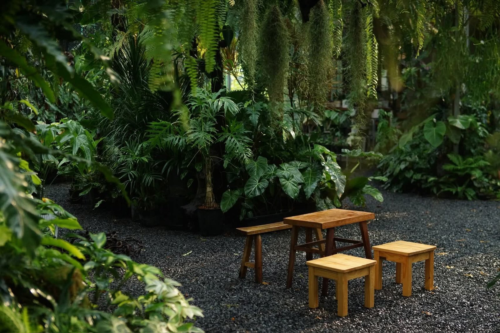 Sân sỏi đen trong văn phòng Silver Cloud: bàn ghế gỗ mộc giữa các mảng philodendron và rêu Tây Ban Nha rủ từ giàn