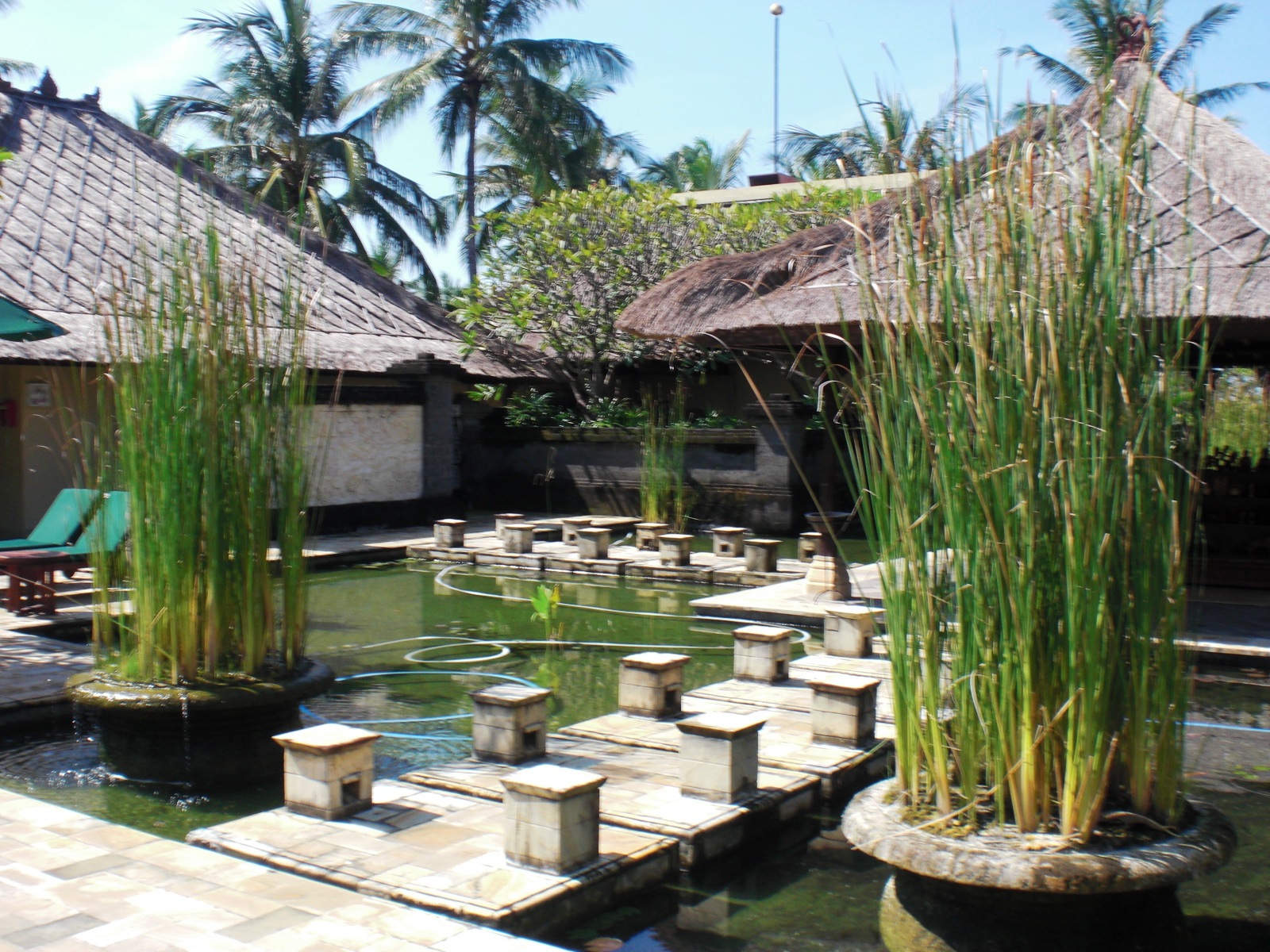 Hồ cảnh nhiệt đới với các trụ đá bước chân, chậu cói giấy lớn và mái tranh Bali xung quanh
