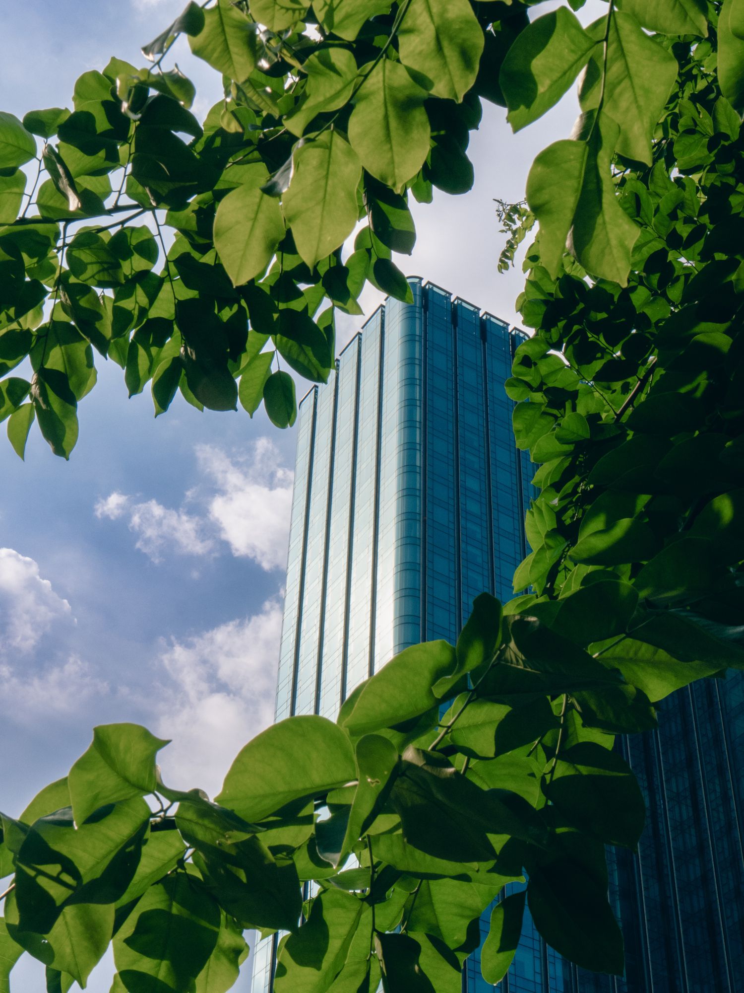 Mặt đứng phủ cây của Bosco Verticale, Milan
