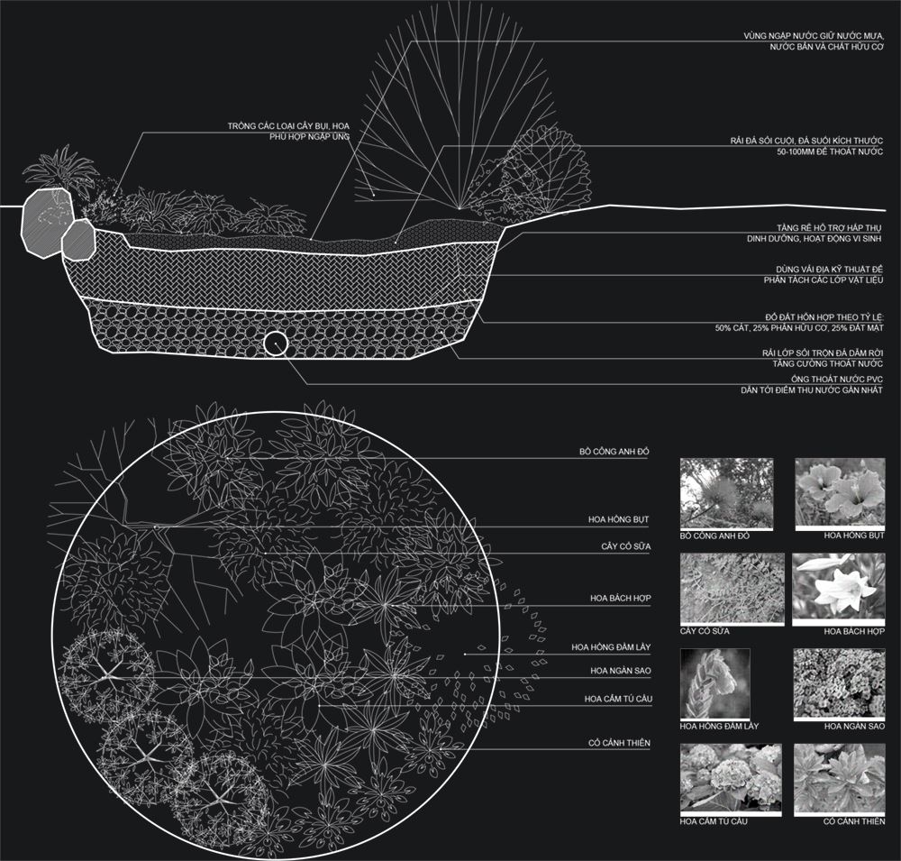 1. Vườn Mưa – Rain Garden:
– Vườn mưa là một khu vườn trũng, trồng các thảm thực vật của địa phương. Là một mô hình mô phỏng lại các khu vườn trong tự nhiên.
2. Những Lưu Ý Khi Xây Dựng Vườn Mưa:
a. V...