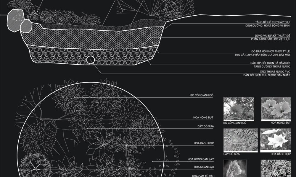 1. Vườn Mưa – Rain Garden:
– Vườn mưa là một khu vườn trũng, trồng các thảm thực vật của địa phương. Là một mô hình mô phỏng lại các khu vườn trong tự nhiên.
2. Những Lưu Ý Khi Xây Dựng Vườn Mưa:
a. V...