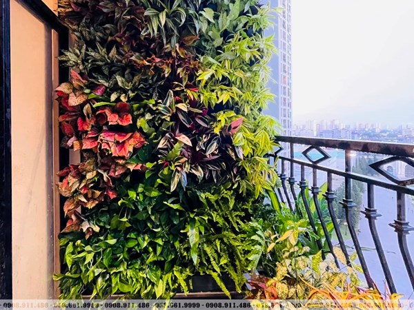 CÔNG TY CỔ PHẦN CẢNH QUAN MINH AN VIÊN