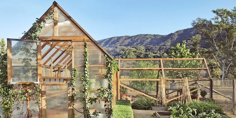 Don't be chicken- it's easier than you think to build your own coop!