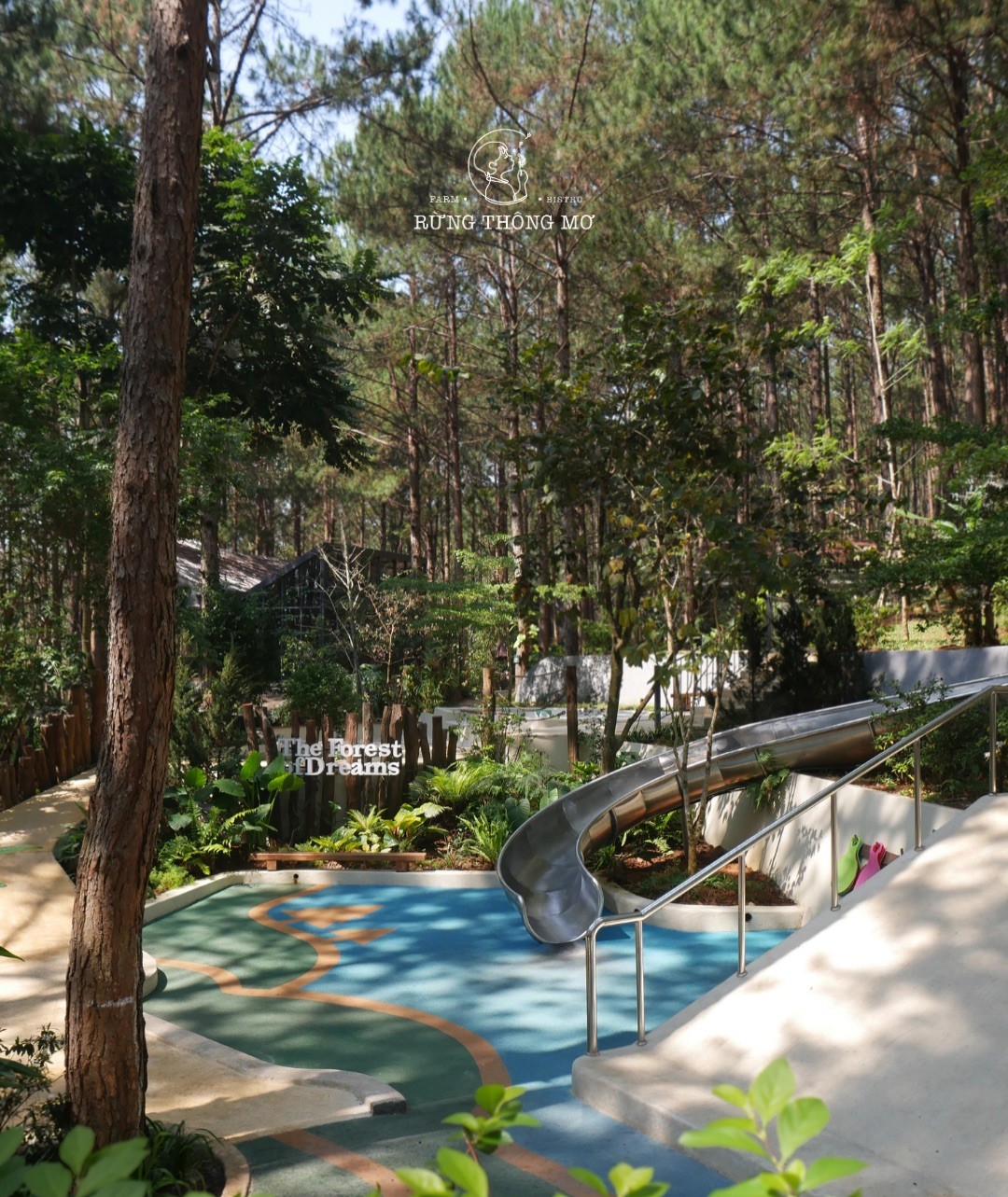 Toàn cảnh sân chơi Mơ Park: mặt sân đàn hồi màu xanh uốn cong giữa rừng thông, máng trượt inox đổ từ trên dốc xuống