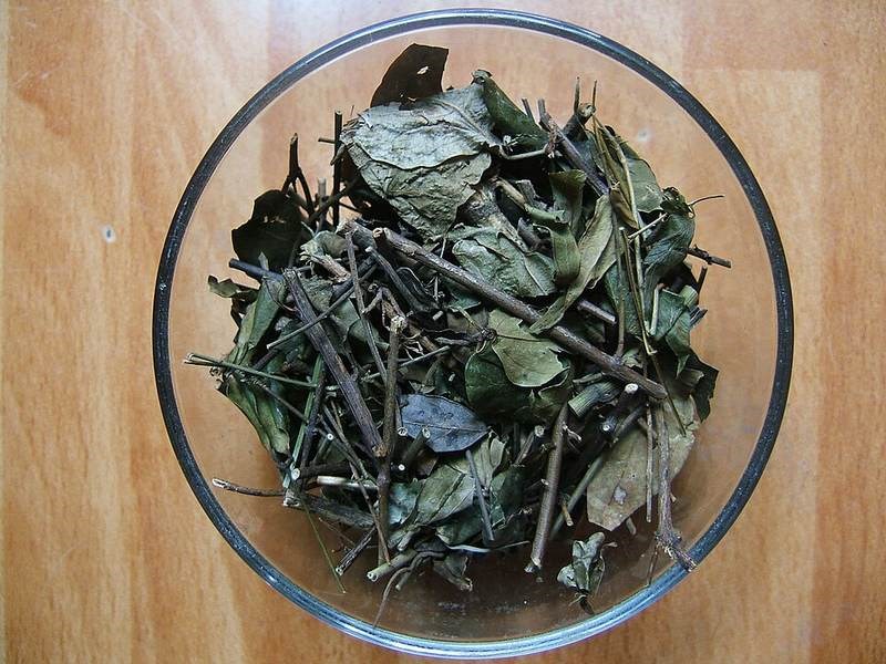 Lài rừng
