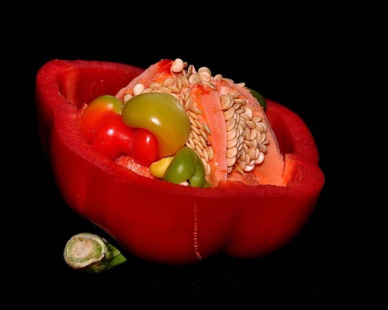 Ớt cảnh