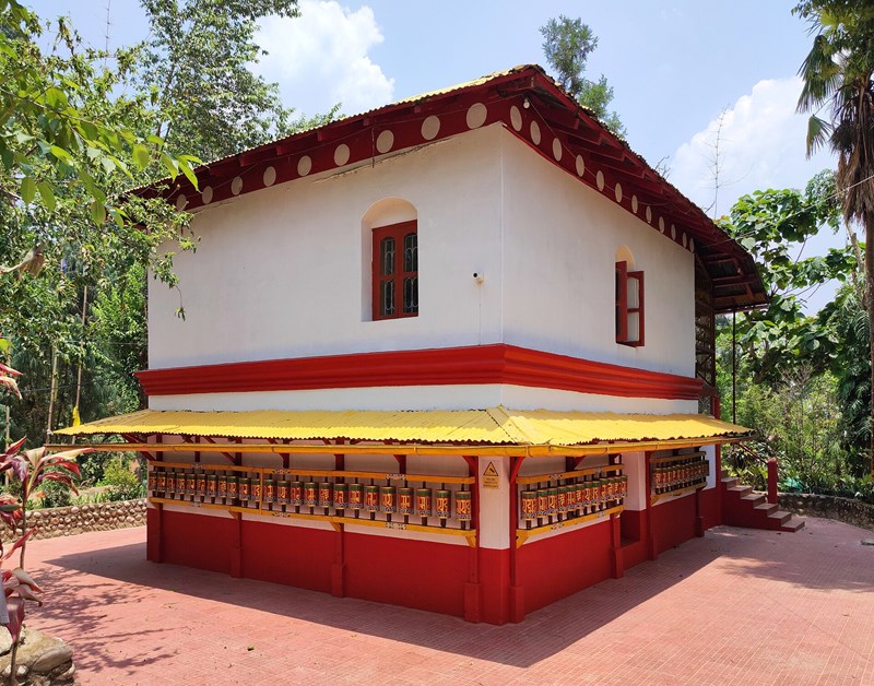 Sâm bòng bong