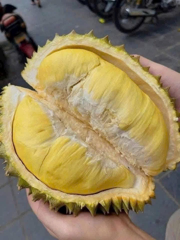 sầu riêng