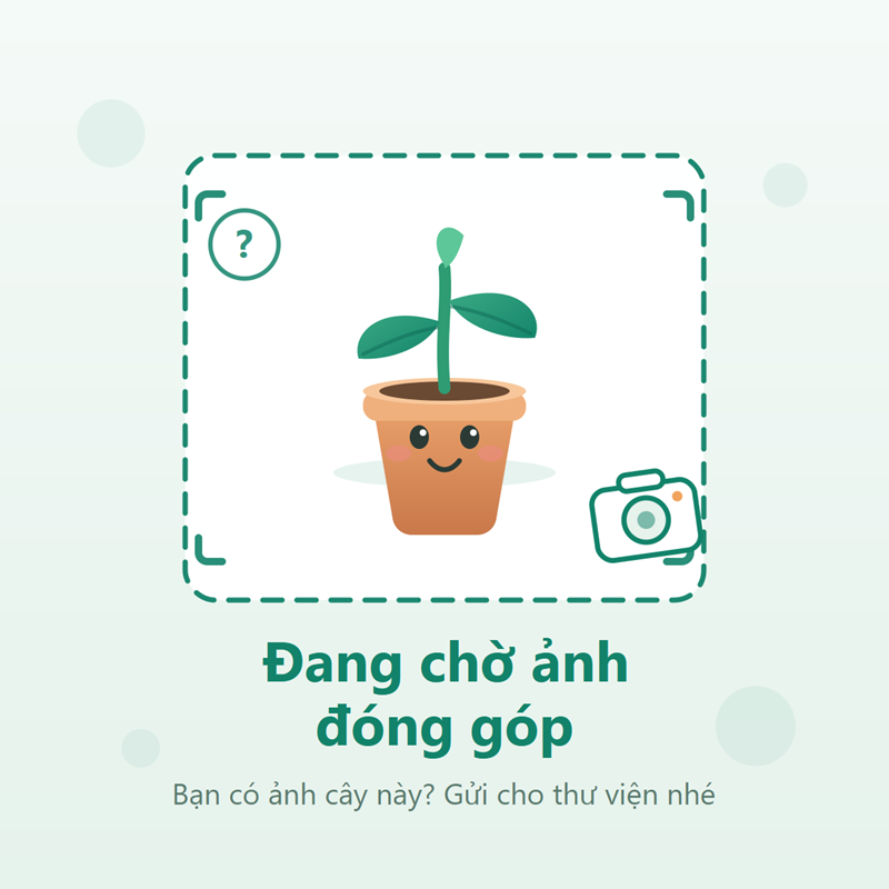 Sim Địa Trung Hải