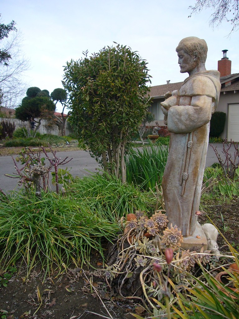 Cắt tỉa cây bụi thành khối hình học rõ nét, gọi là topiary, giữ tán lá dày quanh một khung định hình cố định. Buxus và thủy tùng là hai loài phổ biến nhất vì lá nhỏ, mọc chậm, chịu cắt sát nhiều lần t...