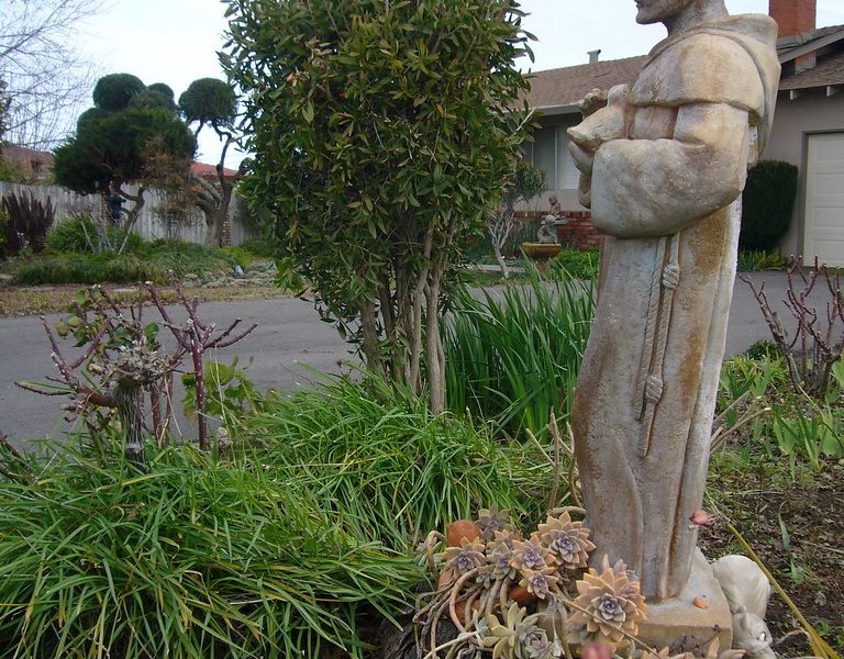 Cắt tỉa cây bụi thành khối hình học rõ nét, gọi là topiary, giữ tán lá dày quanh một khung định hình cố định. Buxus và thủy tùng là hai loài phổ biến nhất vì lá nhỏ, mọc chậm, chịu cắt sát nhiều lần t...