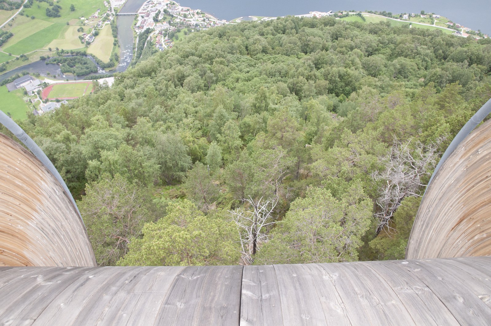 Aurland Lookout — Từ đầu mút tấm ván Stegastein nhìn xuống rừng