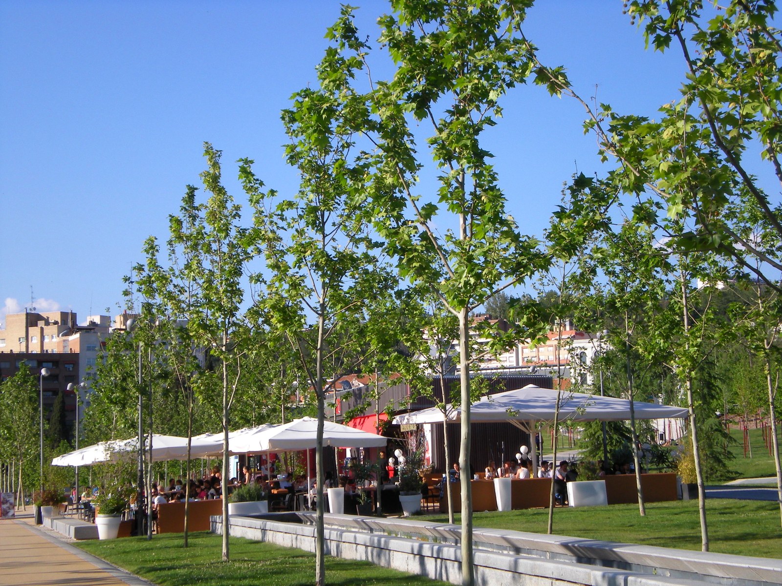 Madrid Río — Hàng cây mới trồng dọc lối đi