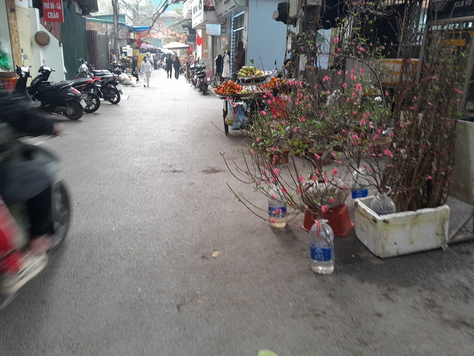 Người dân bày hàng hoa và đồ trang trí Tết tại một khu chợ tạm ngoài trời