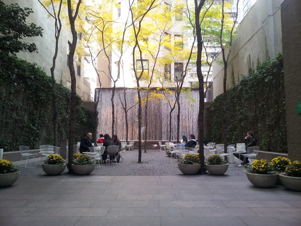 Paley Park — Paley Park mùa thu: lưới cây bồ kết vàng