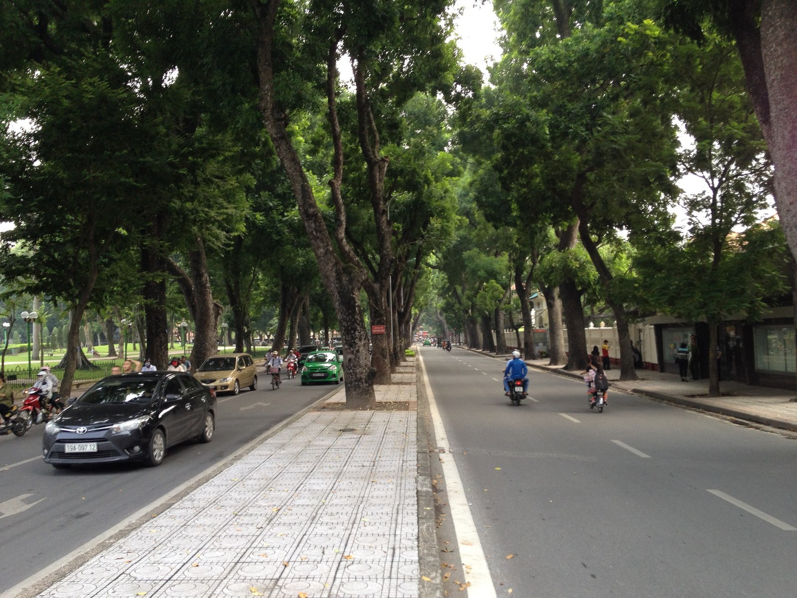 Nguyên tắc bố trí cây xanh tuyến phố đô — Hoàng Diệu: hàng cây trên dải phân cách lát