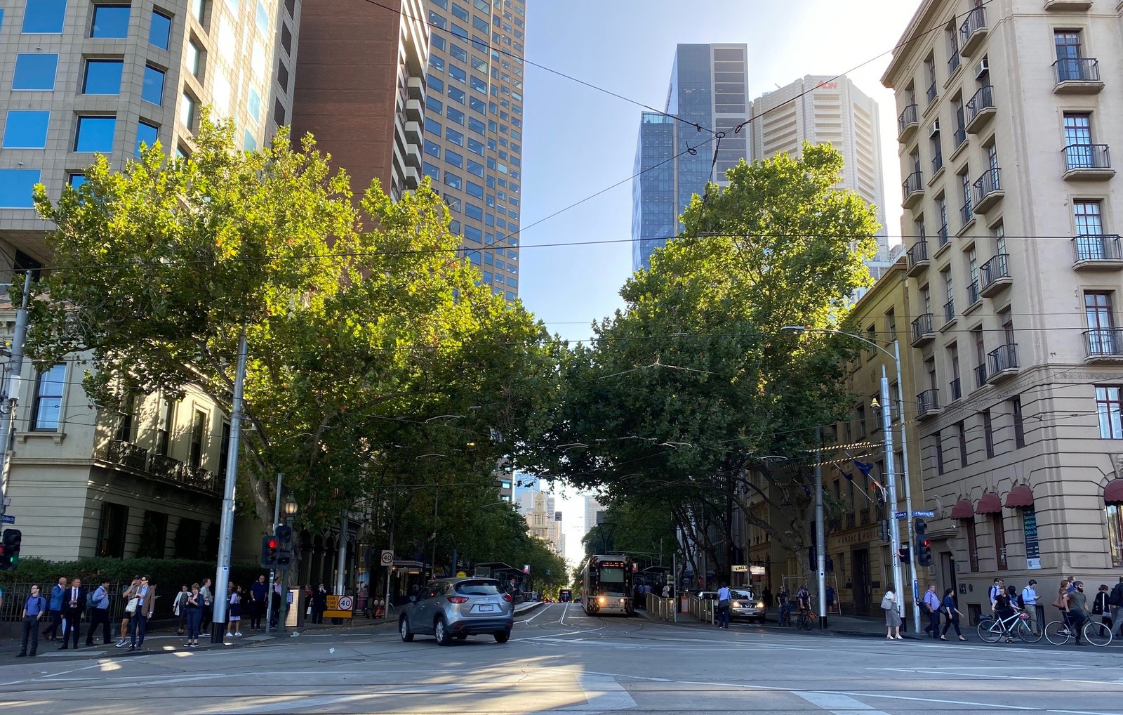 Nguyên tắc bố trí cây xanh tuyến phố đô — Phố Collins