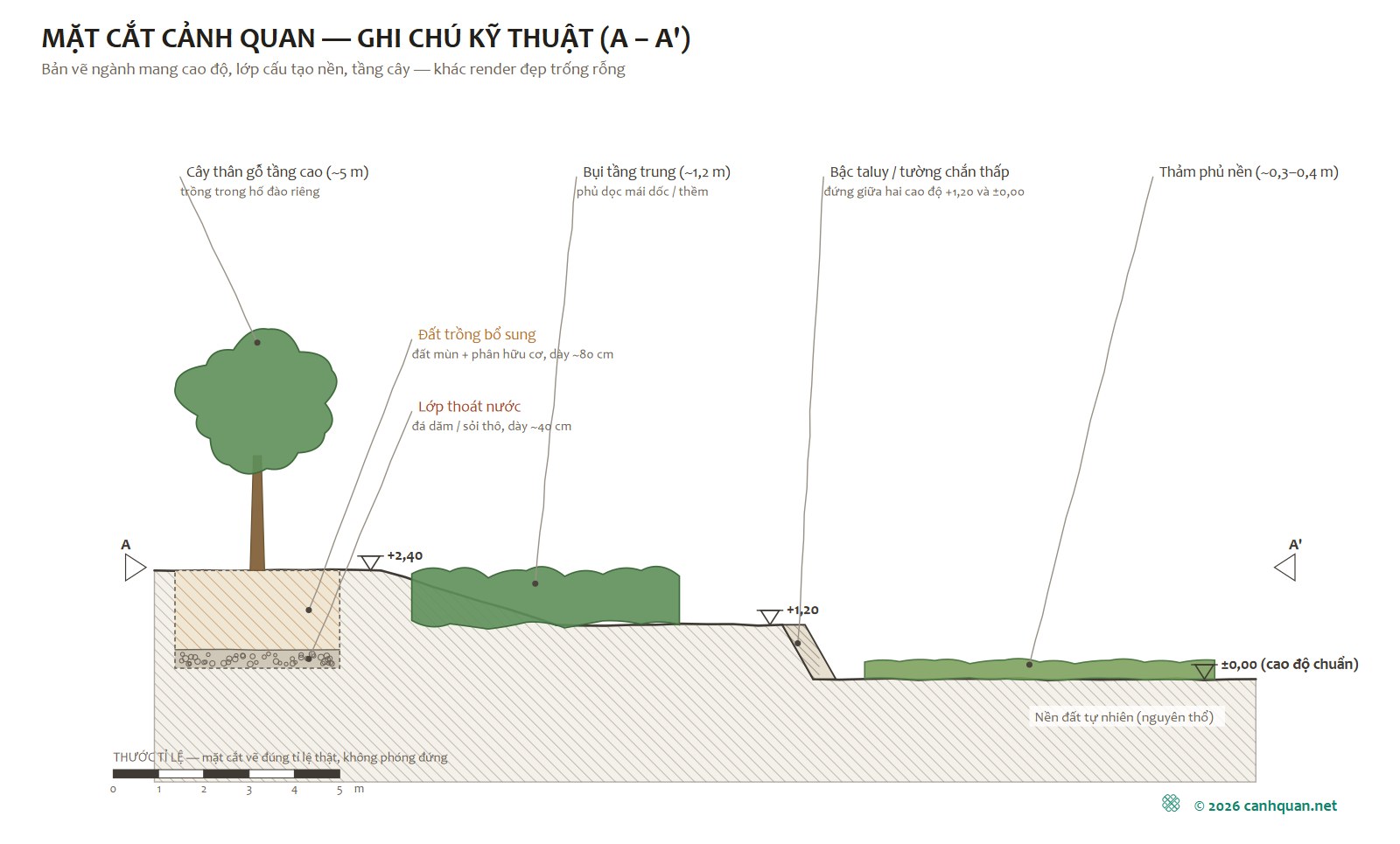 Giỏi phần mềm chưa phải là giỏi thiết kế — Sơ đồ mặt cắt cảnh quan A-A' tự vẽ: