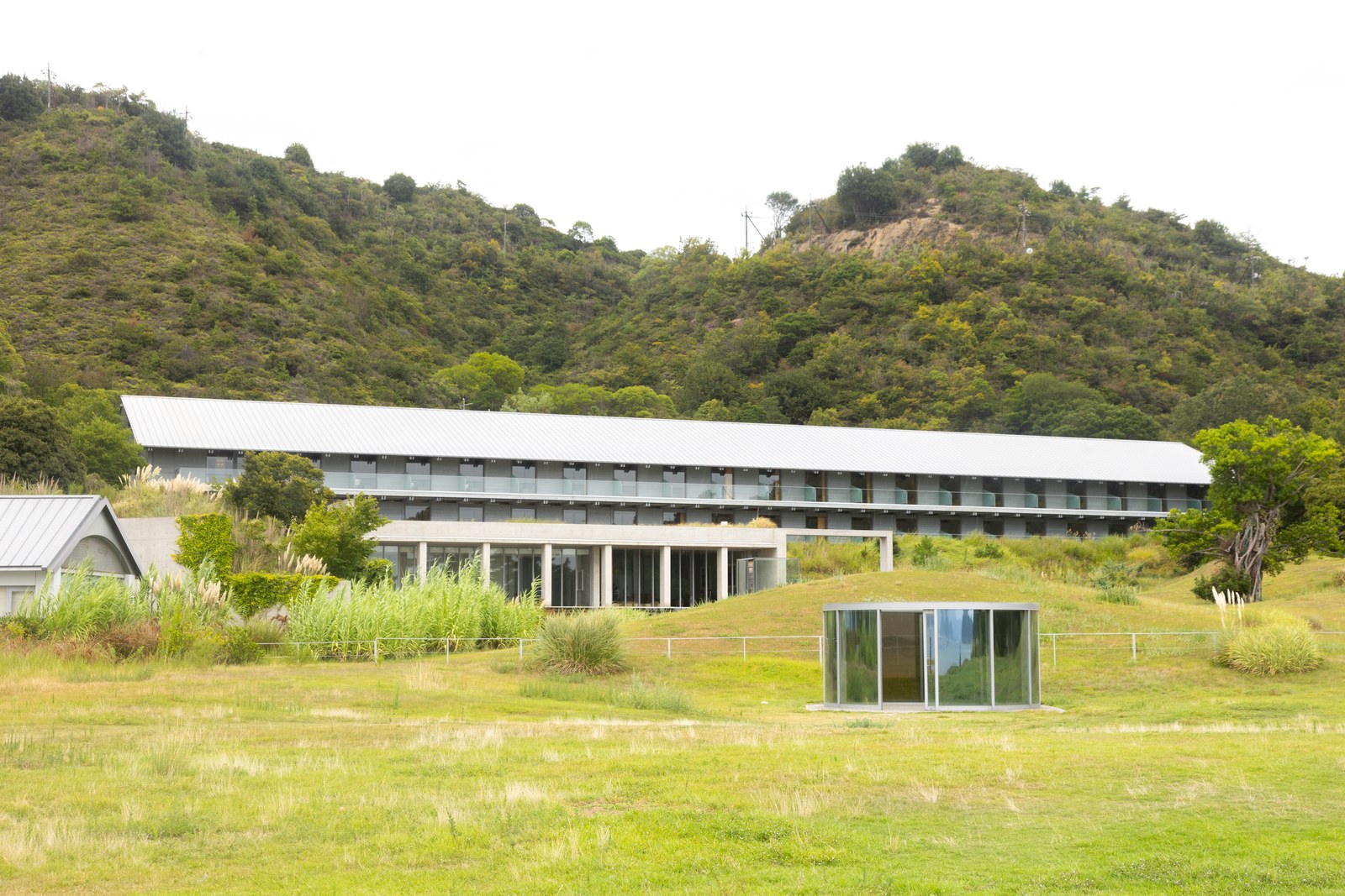 Tadao Ando là ai? Võ sĩ tự học thành bậc — Một phần công trình Benesse House nằm lọt giữa
