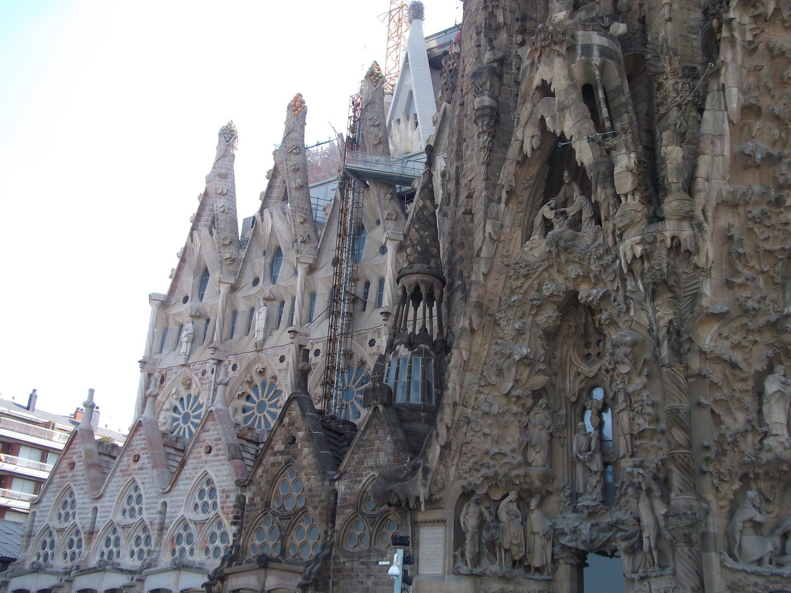 Hàm Cá Mập và 10 công trình từng bị đòi — Mặt đứng Giáng Sinh của Sagrada Família ở Barcelona