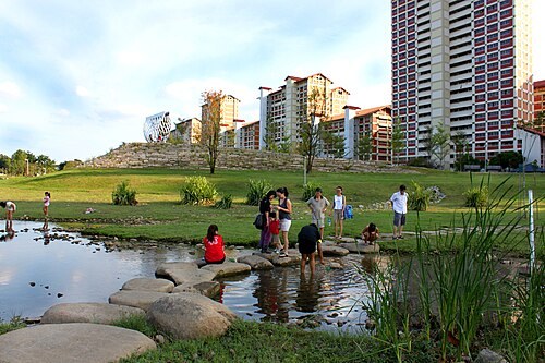 Bishan–Ang Mo Kio Park, Singapore — Người dân bước trên đá bước và bậc đá