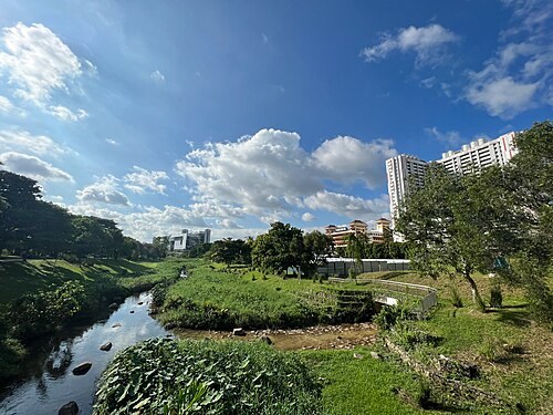 Bishan–Ang Mo Kio Park, Singapore — Nhìn dọc theo dòng sông uốn khúc về phía