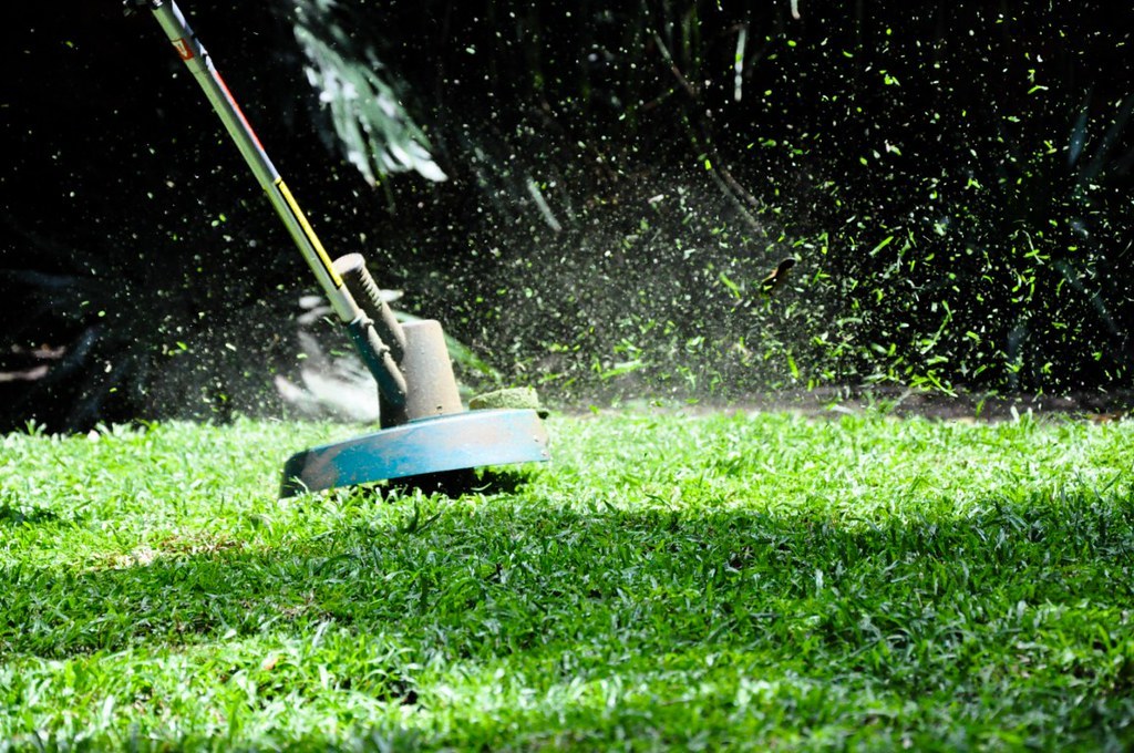 Máy cắt cỏ dây (trimmer) đang xịt vụn cỏ mới cắt bay lên trên bãi cỏ xanh