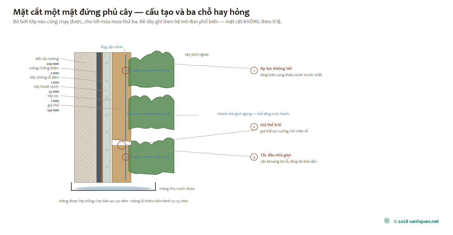 Nhà phủ cây ở Việt Nam: đo bằng các-bon, bóng mát, nước tưới và công chăm