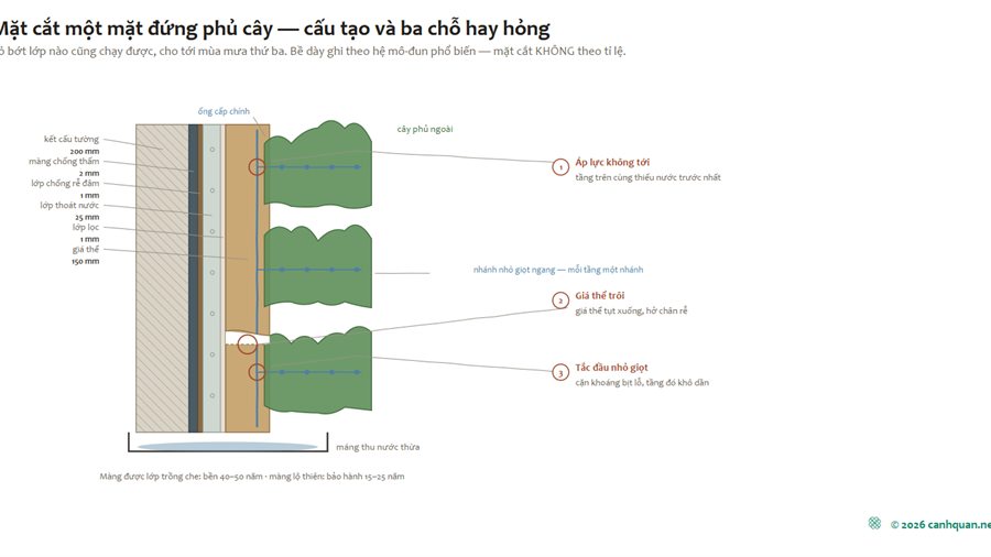 Nhà phủ cây ở Việt Nam: đo bằng các-bon, bóng mát, nước tưới và công chăm