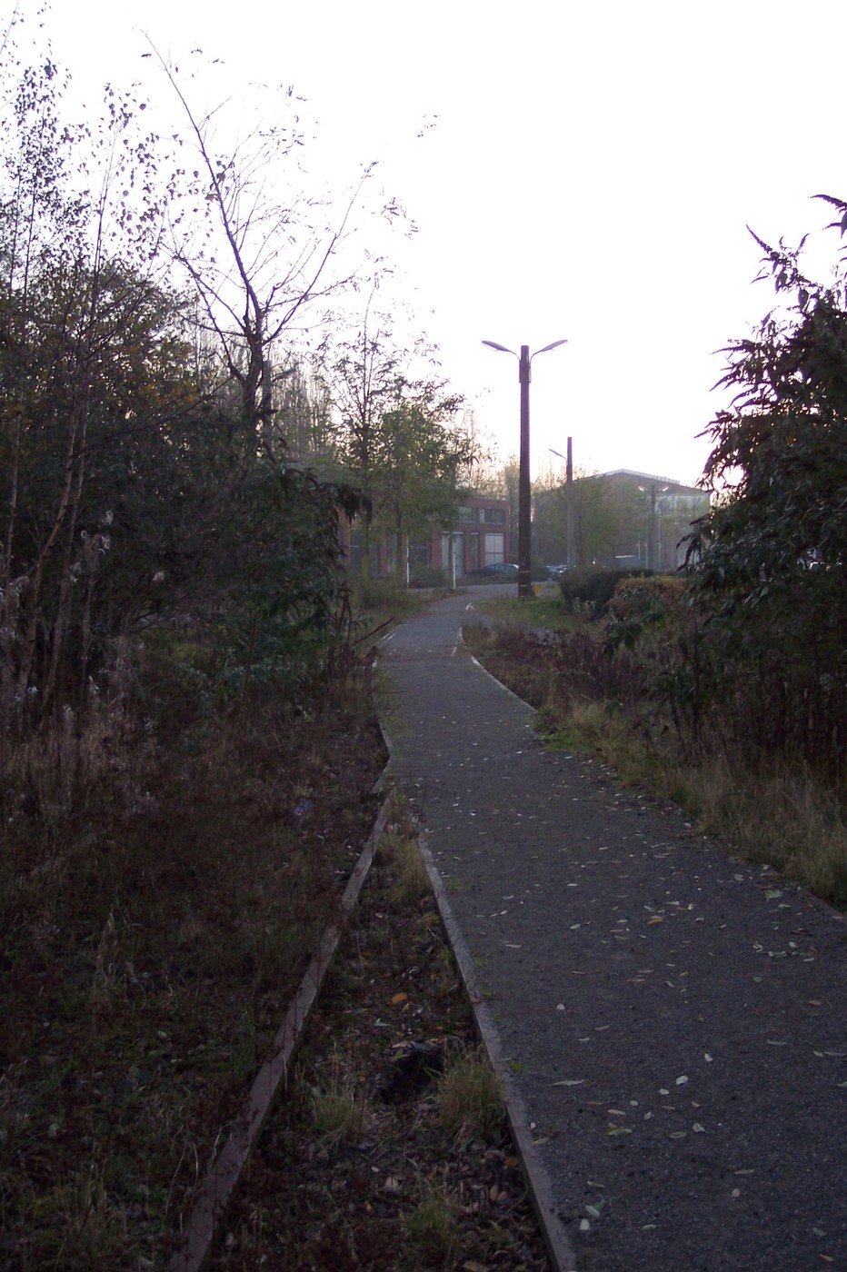 Duisburg-Nord — Lối đi bộ rợp cây trong công viên lúc