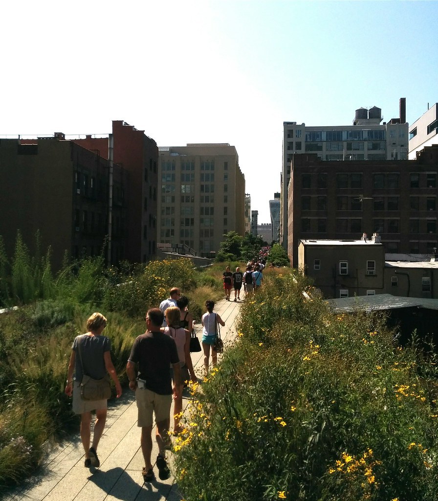 High Line — Cỏ dại và cây lâu năm mọc rậm dọc